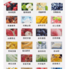 ILIA哩啞煙彈利亞替換蛋